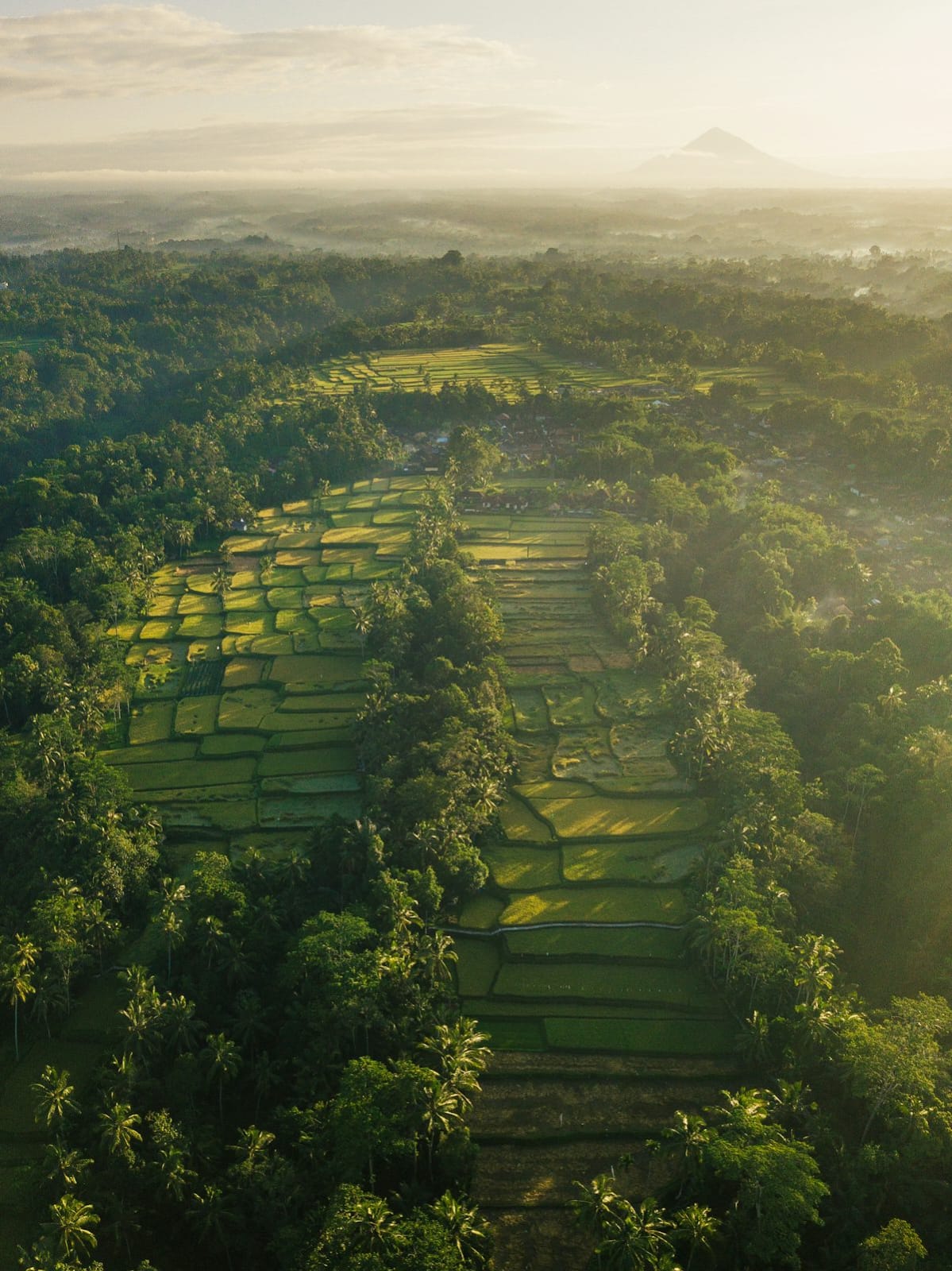 Discover Indonesia